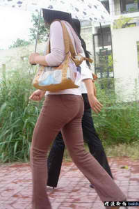 肥猫寻亲记第二部