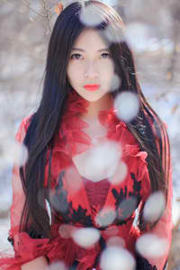 利剑玫瑰电视剧免费观看全集高清