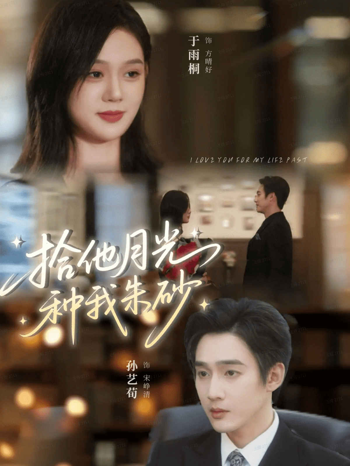 拾他月光种我朱砂